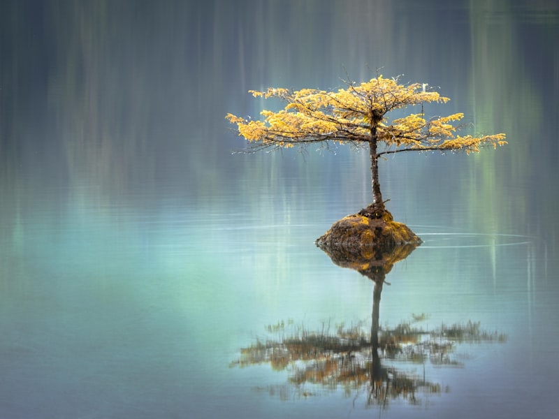 Dhamma class for children